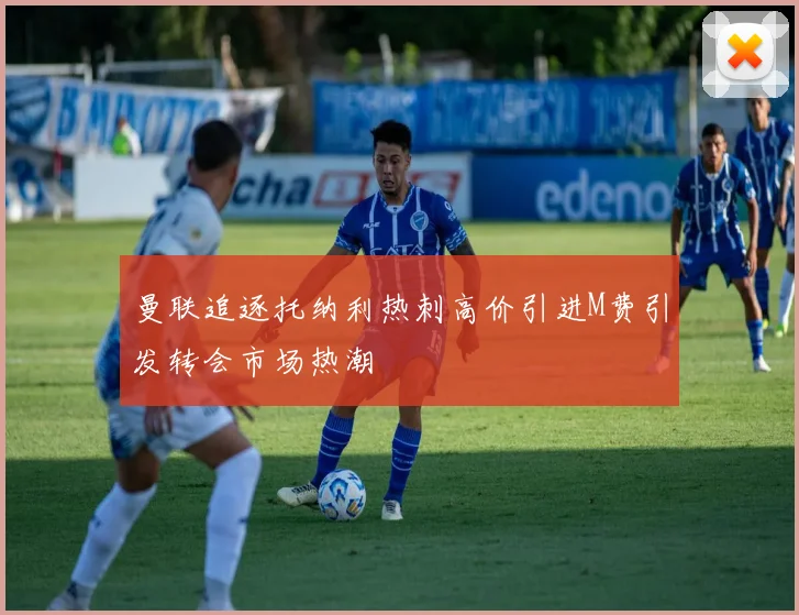 曼联追逐托纳利热刺高价引进M费引发转会市场热潮