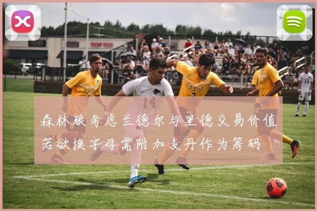 森林狼考虑兰德尔与里德交易价值若欲换字母需附加麦丹作为筹码